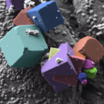 Zeiss microscopy picture 4