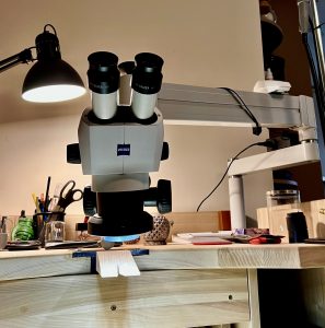Mikroskopas, primontuotas ant stalo