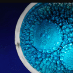 Atrandi Biosciences droplet microfluidics inospectra