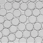 Atrandi Biosciences semi-permeable capsules technology from inospectra