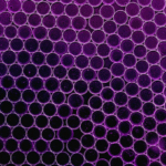 Atrandi Biosciences single cell technology from inospectra